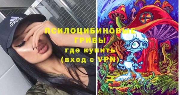 прущие крисы Белокуриха