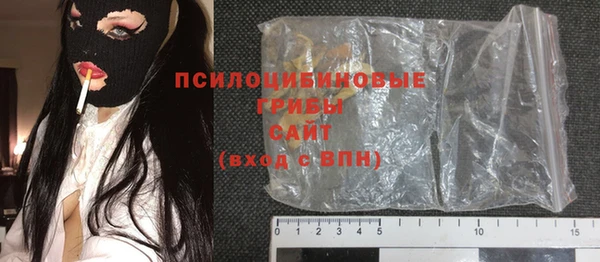 прущие крисы Белокуриха