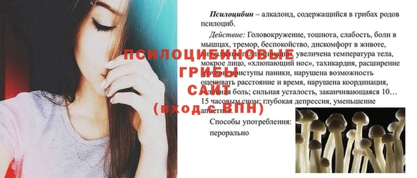 прущие крисы Белокуриха